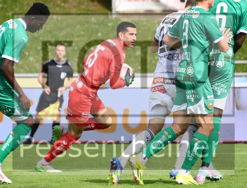 RZ Pellets WAC - SK Rapid Wien (20.04.2025)_8