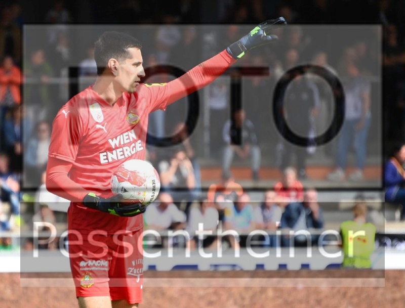 RZ Pellets WAC - SK Rapid Wien (20.04.2025)_11