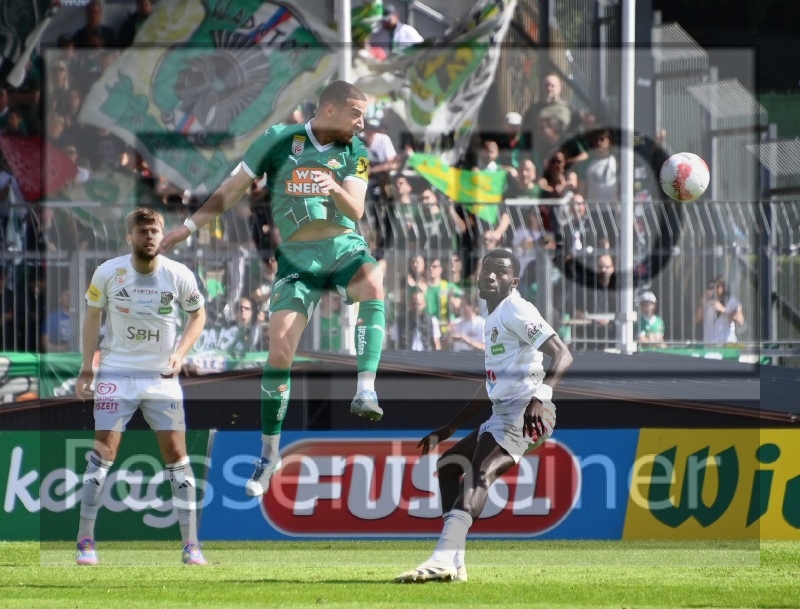 RZ Pellets WAC - SK Rapid Wien (20.04.2025)_14