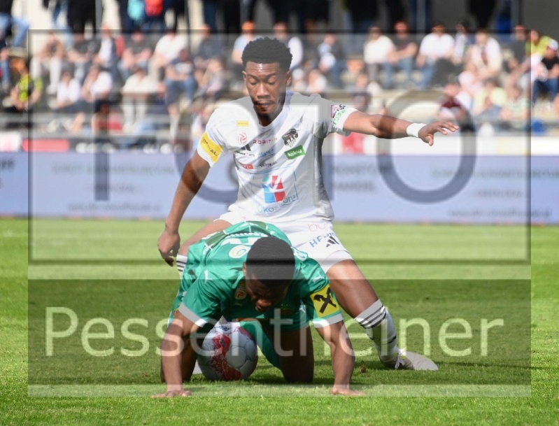 RZ Pellets WAC - SK Rapid Wien (20.04.2025)_20