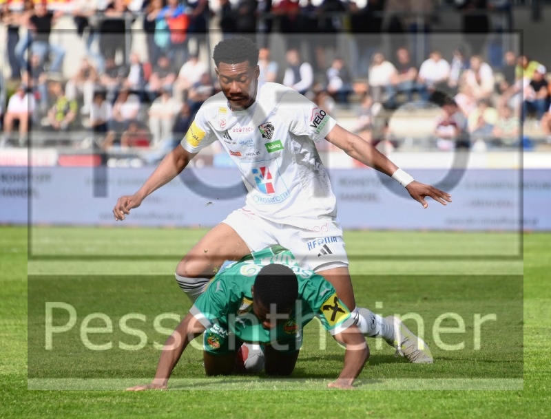 RZ Pellets WAC - SK Rapid Wien (20.04.2025)_21