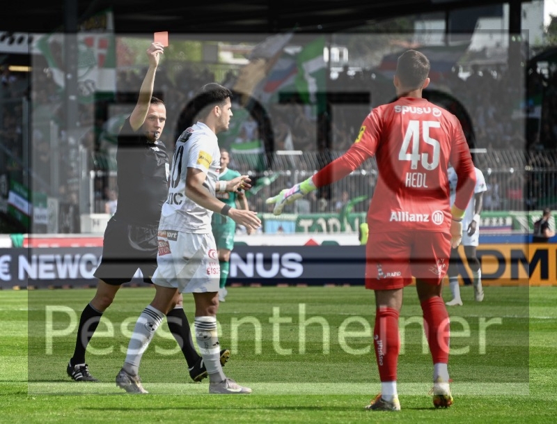 RZ Pellets WAC - SK Rapid Wien (20.04.2025)_26