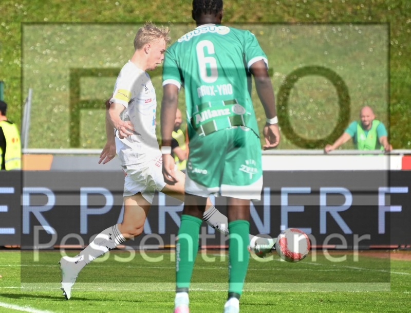 RZ Pellets WAC - SK Rapid Wien (20.04.2025)_31