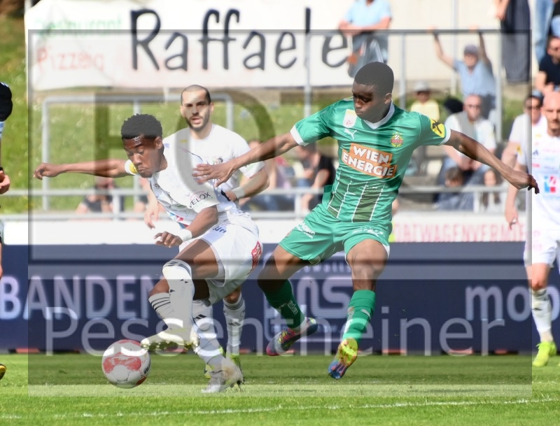 RZ Pellets WAC - SK Rapid Wien (20.04.2025)_14