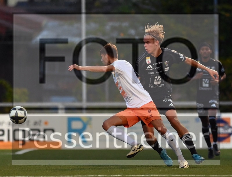 SV Wallern - RZ Pellets WAC (28.08.2024)_14