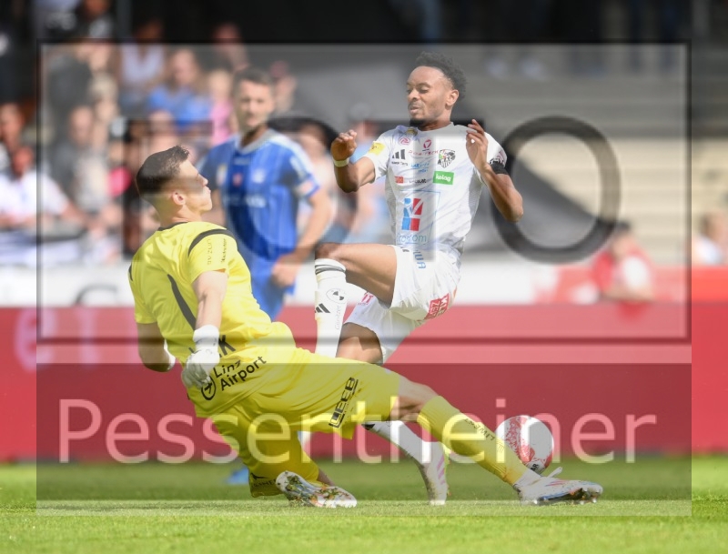 RZ Pellets WAC - Blau Weiß Linz (11.05.2025)_15