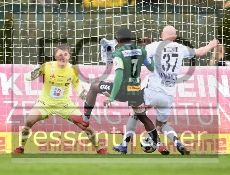 WAC - SV Ried (11.04.2026)_13