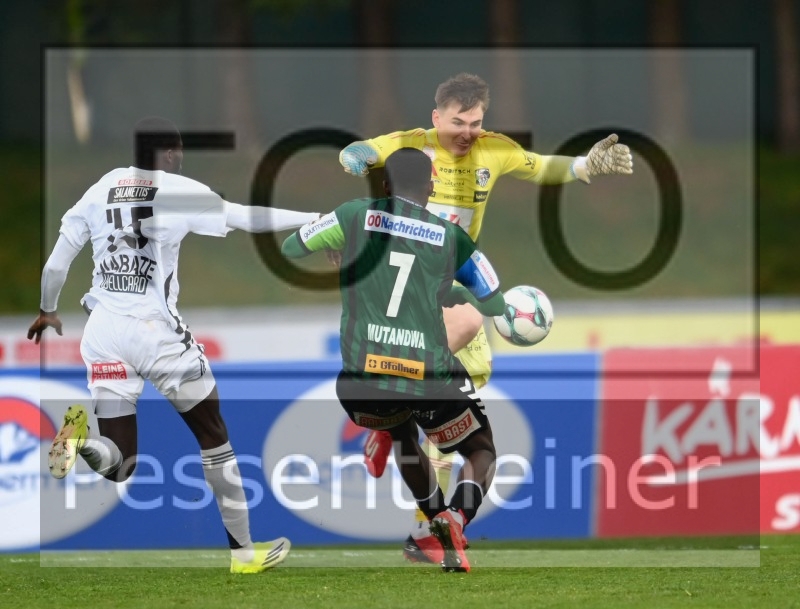 WAC - SV Ried (11.04.2026)_29