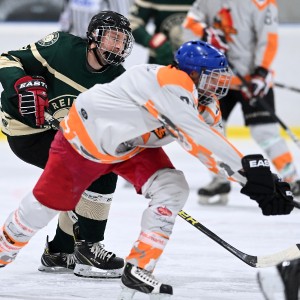 Reifnitz Trouts - EC Gallin Foxes (30.12.2021)_7