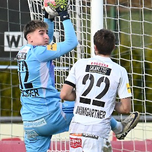 RZ Pellets WAC - SCR Altach (24.11.2024)_10