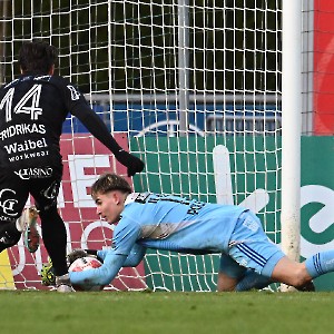 RZ Pellets WAC - SCR Altach (24.11.2024)_17