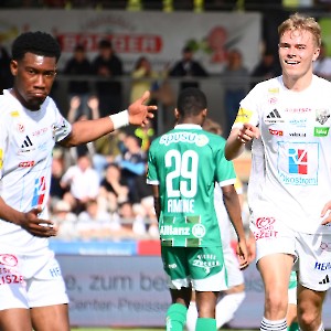 RZ Pellets WAC - SK Rapid Wien (20.04.2025)_19
