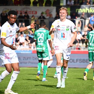 RZ Pellets WAC - SK Rapid Wien (20.04.2025)_20