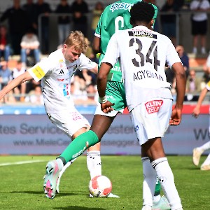 RZ Pellets WAC - SK Rapid Wien (20.04.2025)_29