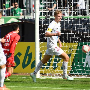 RZ Pellets WAC - SK Rapid Wien (20.04.2025)_32