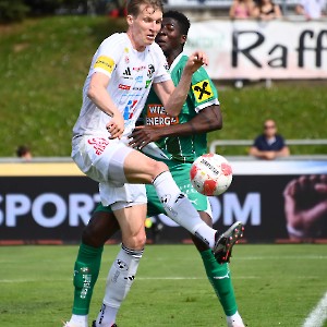 RZ Pellets WAC - SK Rapid Wien (20.04.2025)_42