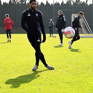 Training (15.11.2024)