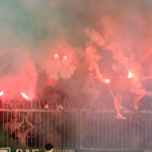 RZ Pellets WAC - SK Rapid Wien (21.05.2022)_13