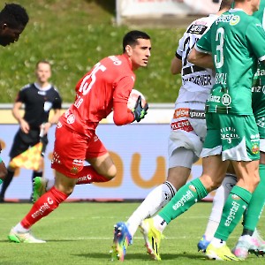 RZ Pellets WAC - SK Rapid Wien (20.04.2025)_8